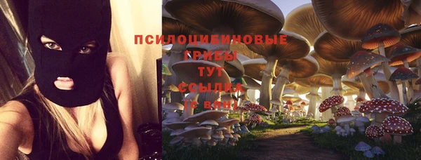 spice Балабаново